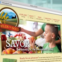 Fields Of Gold Website Design