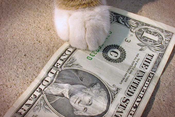 Kitty gets paid.