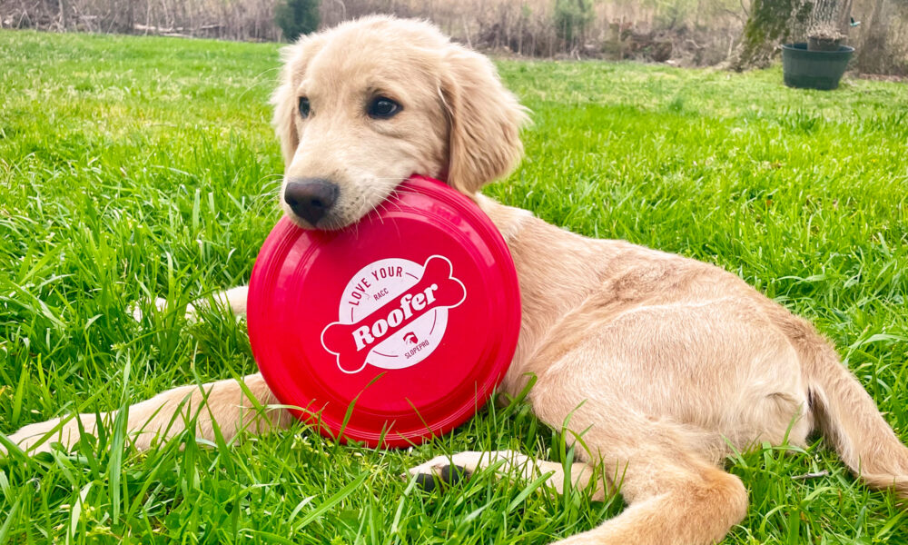 Adopting A Fresh Approach To Brand Loyalty.